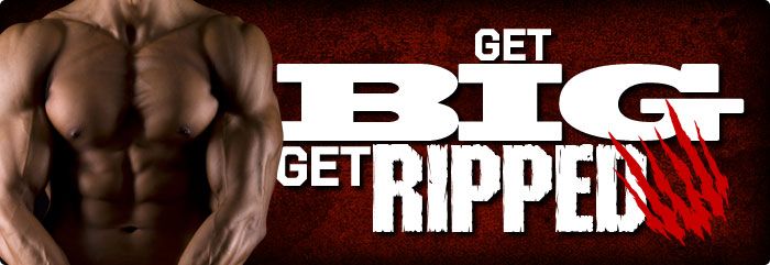 Get Ripped Program